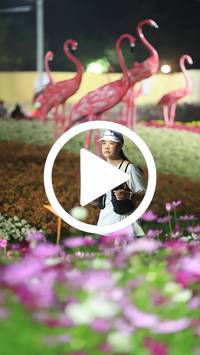 BIB:  <button type="button" onclick="openModal(27591090)" class="btn btn-primary btn-sm float-right" data-toggle="modal" data-target=".modal-high-quality">
                <i class="fa fa-download"></i> Download
                </button>